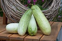 Cucumbers with a basket