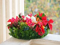 Christmas wreath with poinsettias