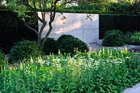 The Laurent-Perrier Garden. Contemporary formal garden with yellow and white planting. Concrete panel in clipped yew hedge. Lupinus Chandelier, beech domes, Orlaya grandiflora and euphorbia  