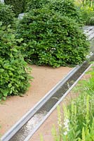 Row of Fagus sylvatica shrubs beside a water feature, leading to a granite pool. The Laurent-Perrier Garden. Chelsea Flower Show 2014