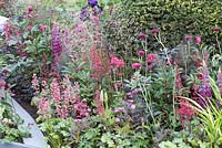 Warm pink and red informal planting with Cirsium, Astrantia, Heucheras and Peonies. Positively Stoke-on-Trent. Chelsea Flower Show 2014
