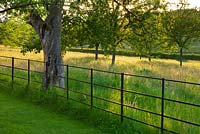 Lawn and metal fence with meadow beyond. Gipsy House, Buckinghamshire
