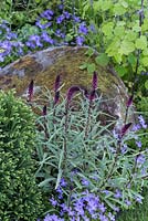 Large moss covered rustic boulder in garden. RHS Chelsea Flower Show 2014 - The Brewin Dolphin Garden, awarded silver gilt