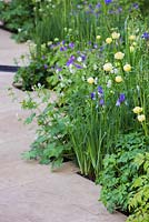 The Homebase Garden 'Time to Reflect'. RHS Chelsea Flower Show 2014. Edge planting containing Iris sibirica and Trollius beside walkway.
