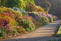 View of the long border at dawn in autumn. Waterperry Gardens, Oxfordshire