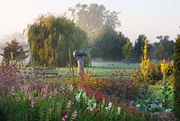 The trial beds at dawn with penstemons, verbena bonariensis and yellow verbascums. Waterperry Gardens, Oxfordshire