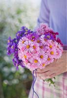 Woman holding posie of autumn flowering asters 
