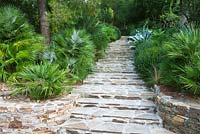 Stone steps leading through garden with agave and shade planting 