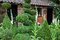 Clipped topiary shapes of Buxus sempervirens and Taxus baccata with white flowered plants including Digitalis purpurea f. albiflora, Allium stipitatum 'White Giant', Allium stipitatum 'Mount Everest', Lupinus 'Noble Maiden' and Rosa 'Adelaide d'Orleans' in The Topiarist Garden at West Green House
