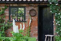 Brick shed with terracotta pots on windowsill, Rosa 'Adelaide d'Orleans' around door, Digitalis purpurea f. albiflora, 'The Topiarist Garden at West Green House