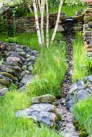 Detail of the moors side iof the garden with stream running down hillside and dry  stone walls and silver birch - 'From the Moors to the Sea: a celebration of RHS Britain in Bloom'