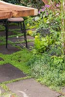 Outside dining area with patio planted with Thyme, with border planting of Anthriscus sylvestris 'Ravenswing', Heuchera and Dryopteris