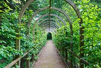 Pergola walkway. Painswick Rococo Garden, Gloucestershire 