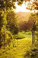 Grass path leading out of grass garden with beautiful iron gates - dawn 