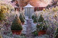 Winter garden in frost - path through the rose garden to a summerhouse with david austin roses and terracotta containers with clipped box