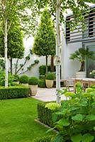 Lawn, Box edged beds, Hydrangea 'Annabelle' and Betula jacquemontii - The Glass House - Architects Terry Farrell Partners - Garden design by Sallis Chandler 
 