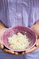 Woman holding bowl of grated horseradish roots. 