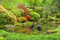 Spring strolling pond with metal Japanese Crane sculptures, Pieris japonica - Japanese Andromeda syn. Lily-of-the-Valley Bush, Rhododendron x hybrida - Azalea, Acer palmatum - Japanese Maple. 