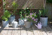 Display of galvanised containers on wooden decking