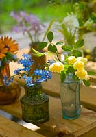 Arrangement of cut flowers from garden in greenhouse including Myosotis - Forget me nots and Rosa banksii 
