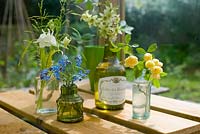 Arrangement of cut flowers from garden in small glass bottles including Myosotis - Forget me nots, Clematis, Aquilegias and Rosa banksii 
