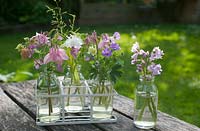 Arrangement of cut flowers from garden in small glass bottles including Aquilegia, Geranium pyrenaicum 'Bill wallis',  Bluebells and Bowles' golden grass