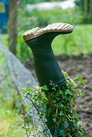 Old wellington boot on fence post at allotment