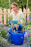 Woman planting tomatoes and basil in moveable container.