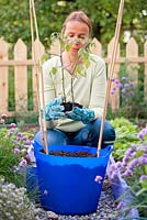 Woman planting tomatoes and basil in moveable container.