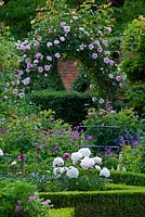 Floral English garden with pink roses trained over an arch and white double Peony 'Festiva Maxima' in the foreground - Seend, Wiltshire