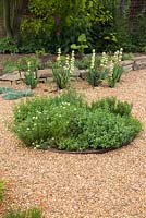 Plants include Rosemary 'Fota Blue', Lavandula angustifolia 'Hidcote', Thymus 'Doone Valley', Thymus vulgaris, Pot Marjoram, Chervil, Mint 'Swiss', Thymus serpyllum and Chamomile 'Double'. GAP0130