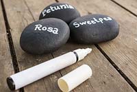Rosa, Petunia and Sweetpea pebble labels. 
