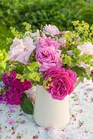 Mixed roses and alchemilla mollis in jug on table in cottage garden

