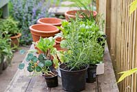 Plants include French Lavender, Nasturtium 'Empress of India', Borage, Viola mixed, Calendula 'Ball's Improved Orange', Rosemary and Chives