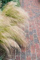 Stipa tenuissima - Feather grass and red brick path