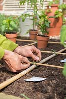 Tying canes together for square foot gardening in a raised bed