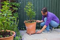 Adding pot feet to raise container off the ground. 