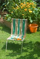 Vegetable bed with pumpkin, sweetcorn and calendula with vintage deck chair 