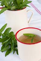 Mentha - Mint tea