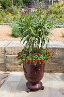 Plants include Nerium oleander and Calibrachoa 'Double Dark Red' Mini Famous series