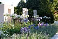 The Just Retirement Garden. Agapanthus and lavender in rows beside axis path. Designer: Jack Dunckley Sponsor: Just Retirement Silver-Gilt medal 
