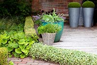 Detail of decking and path, clipped Vinca, containers, sleek metal pots with clipped buxus, rustic basket, hosta in blue pot