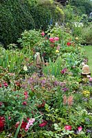 Small Summer border - campanulas, fuschias, roses, iris, astibles