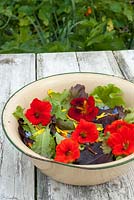 Freshly harvested salad with edible flowers - borage, calendula, chives and nasturiums
