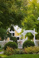 White wooden arbour with trellis fence in front garden in autumn. Plantings include globe shaped cedar 'Thuja occidentalis' trees and an artist's workshop. Il Etait Une Fois garden, Monteregie, Quebec, Canada. 