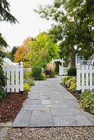 Grey flagstone path leading to a arbour through a white picket fence in front garden in autumn. Plants include Sedum spurium, Alchemilla mollis, Kleine 'Silberspinne', Miscanthus sinensis and a Robinia pseudoacacia 'Frisia' tree in the background. Il Etait Une Fois garden, Monteregie, Quebec, Canada. 