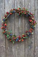 Wreath made from foraged fruits - Rose hips, Sloe berries and Hawthorn. 