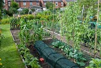 Allotment with vegetable beds with protective cloches in July by housing estate. Marlborough Road allotment site, Flixton, Manchester. Open for the National Garden Scheme