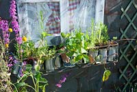 Wendy house with metal window box and plants growing in recycled tin cans