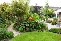 Winding cobble setts path framed by Buxus sempervirens spheres. Hot border planting of orange Lilies, Crocosmia 'Lucifer', Lugularia 'Desdemona' and Phyllostachys nigra
